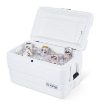 Picture of Igloo Marine Ultra 54 Cooler (51 liters)