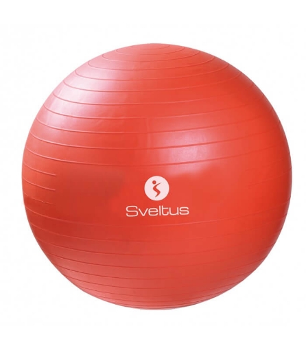 Picture of Fitness Ball - Ø65 Sveltus