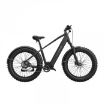 Picture of Electric Bicycle MorphRover