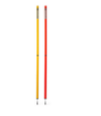 Picture of Marker pole with Spike in 2 Pieces 170cm - TeamSport