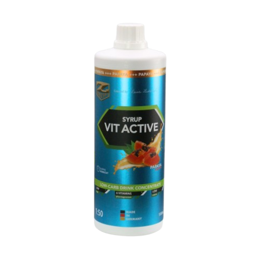 Picture of VITACTIVE SYRUP + L-CARNITINE - 1000ML PAPAYA